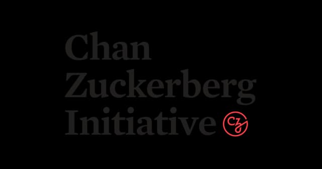 CZI Logo